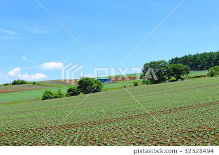 Beautiful Plateau Part 22 32328494