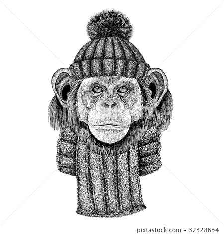 Chimpanzee Monkey wearing knitted hat and scarf Chimpanzee Monkey wearing knitted hat and scarf 32328634