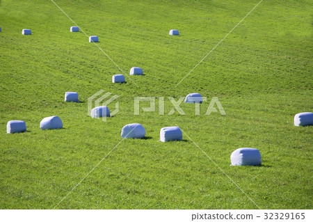 Straw packages on field Straw packages on field 32329165