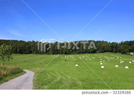 Straw packages on field Straw packages on field 32329166
