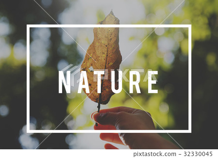 Save earth nature word on leaf background 32330045