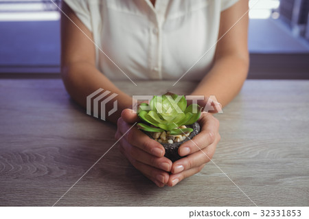 Mid section of woman holding plant 32331853