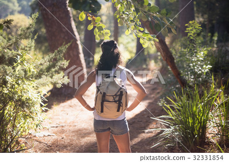 Rear view of hiker standing on trail 32331854