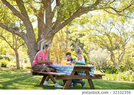 Happy family interacting with each other while having meal in park 32332356