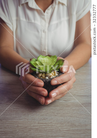 Mid section of woman holding small potted plant 32332777