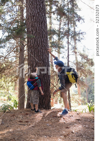 Man pointing up by boy standing in forest Man pointing up by boy standing in forest 32332873