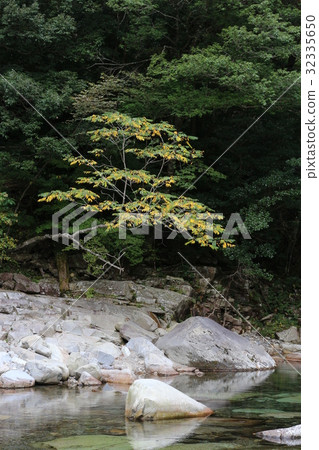 香川河 香川河 32335650