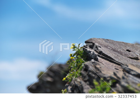 Mihigahara kogen highness 32337453