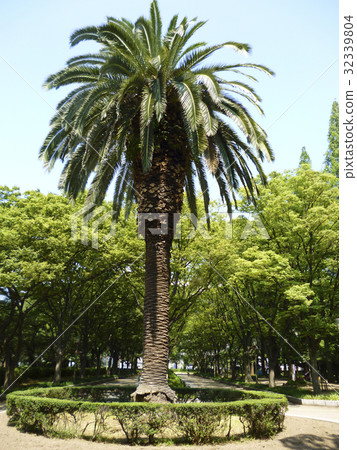 Tougo park Tougo park 32339804