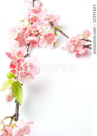 Fake sakura blossom on white 32341623