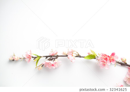 Fake sakura blossom on white Fake sakura blossom on white 32341625