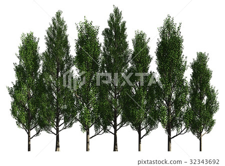 Group of trees isolated on white 3d illustration 32343692