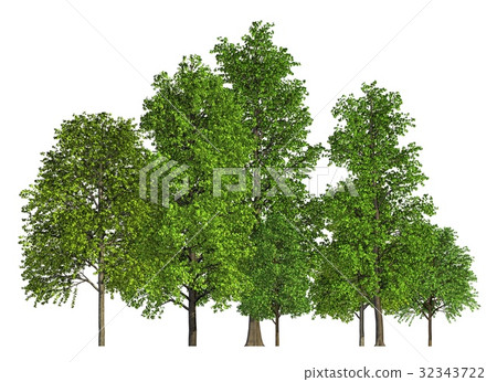Group of trees isolated on white 3d illustration Group of trees isolated on white 3d illustration 32343722