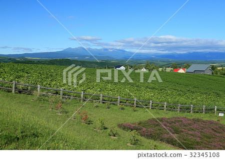 Hill in northwest Hokkaido 32345108