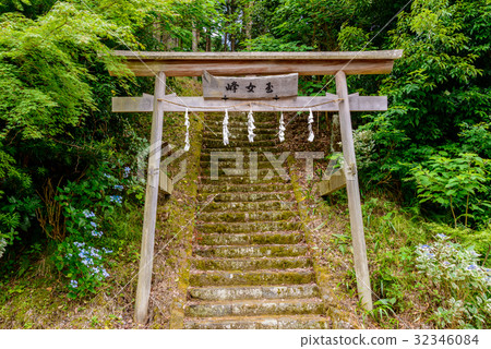 [靜岡縣]江川家族菩提寺的主殿和鳥居門 32346084