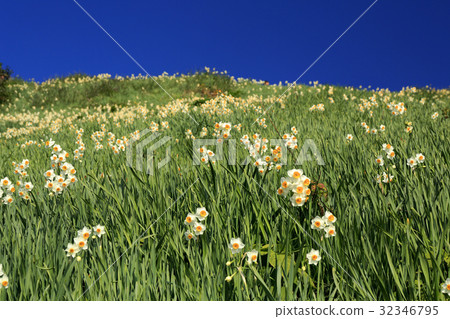 淡路島Nada Kuroiwa Water Sengoku 32346795