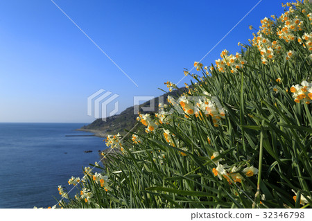 淡路島Nada Kuroiwa Water Sengoku 淡路島Nada Kuroiwa Water Sengoku 32346798