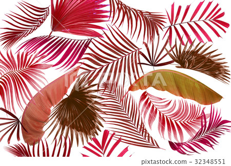 leaf of palm tree background 32348551