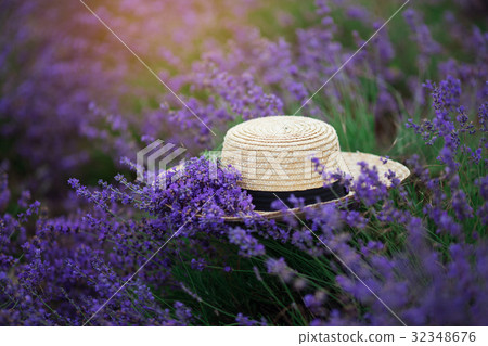 Straw hat in lavender field in the summer 32348676
