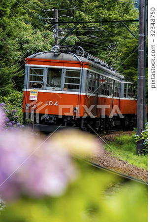 Hydrangea and railway 32348750