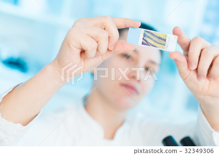 Young women work in laboratory 32349306