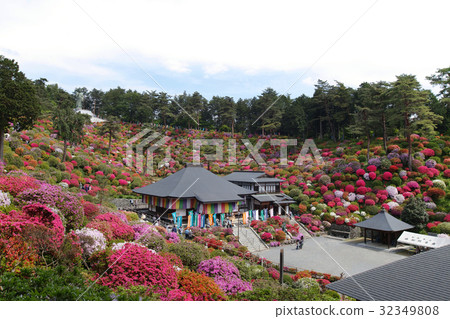 [Sightseeing spots and beautiful scenery of azaleas] Shiofune Kannonji Azalea Festival 32349808