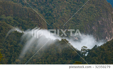 Exotic rainforest landscape Exotic rainforest landscape 32350279