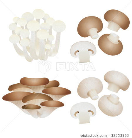 White bamboo shoots, milkfish, mushrooms, brown mushrooms 32353563