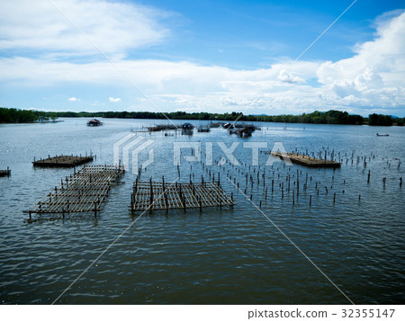 Oyster farm On the river in the big river.  32355147