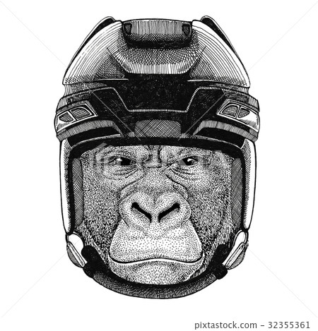 Gorilla, monkey, ape Frightful animal Hockey image Gorilla, monkey, ape Frightful animal Hockey image 32355361