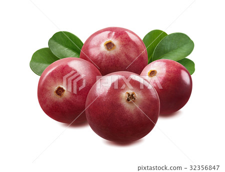 Cranberry group isolated on white background 32356847