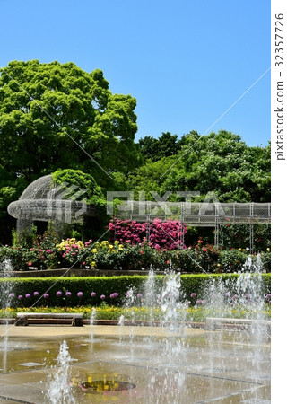 Flower Garden Flower Garden 32357726