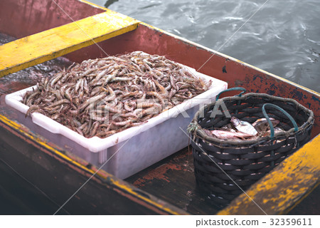 Shrimps And Fish Shrimps And Fish 32359611