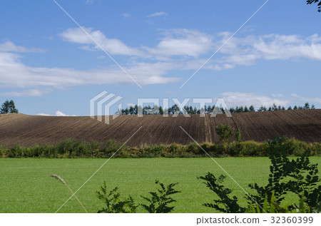 Landscape of farmland Landscape of farmland 32360399
