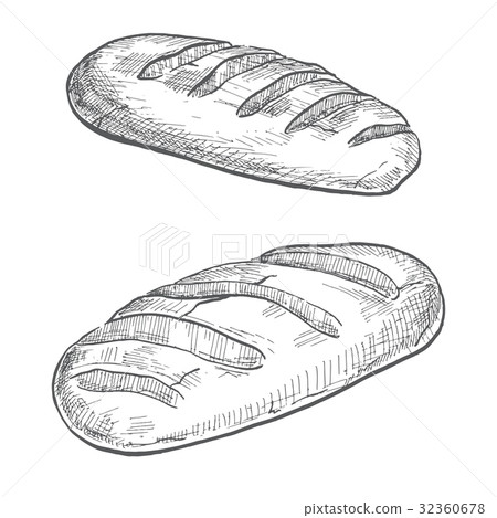 Two loaves isolated on white background. Two loaves isolated on white background. 32360678