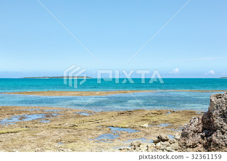 Okinawa (July summer blue sea blue sky Hamahigajima) 32361159