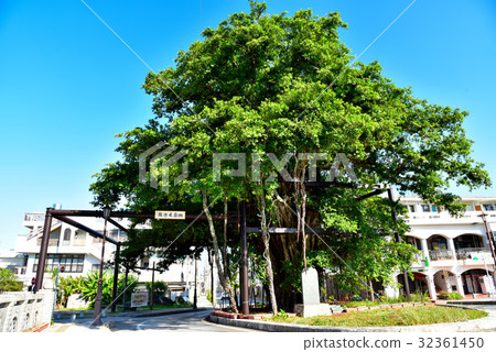 Nago's Hinpun Bajumaru Nago's Hinpun Bajumaru 32361450