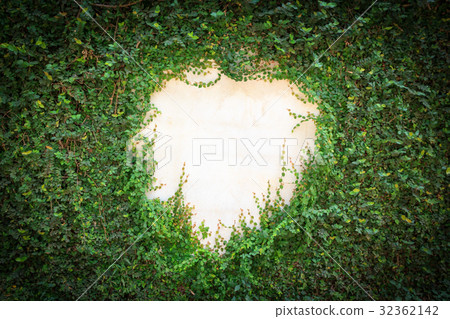 Green leaves natural wall. 32362142