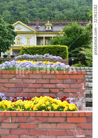 Former Hakodate Ward public hall and pansies flower bed Former Hakodate Ward public hall and pansies flower bed 32362182