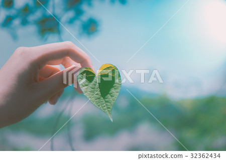 Love leaves 32362434