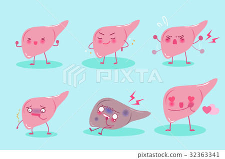 cute cartoon liver 32363341