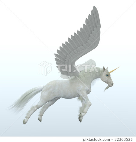 Pegasus Pegasus 32363525