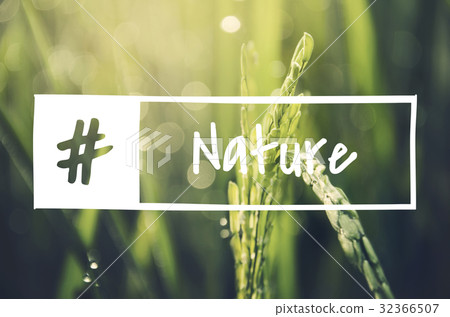 Alternative Farming Sustainable Nature Concept Alternative Farming Sustainable Nature Concept 32366507