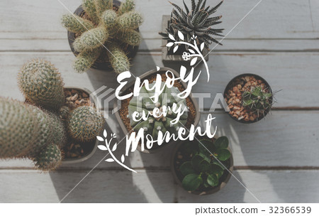 Positivity Break Passion Never Fail Moment 32366539