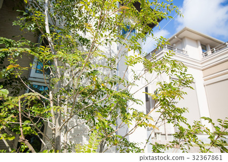A fresh image of a detached house 32367861