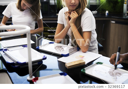 High school students studying brain anatomy in biology class High school students studying brain anatomy in biology class 32369117