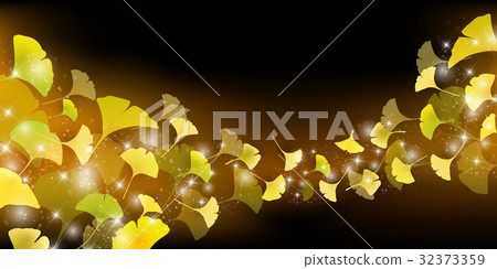 Ginkgo autumn leaves autumn background Ginkgo autumn leaves autumn background 32373359