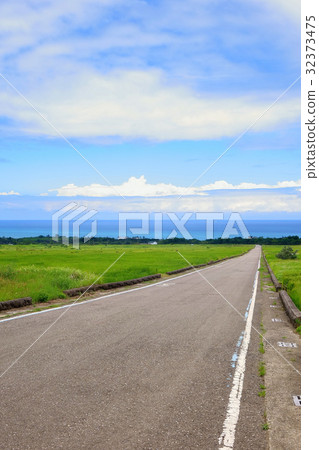 King kong avenue in Taitung King kong avenue in Taitung 32373475