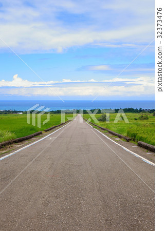 King kong avenue in Taitung King kong avenue in Taitung 32373476