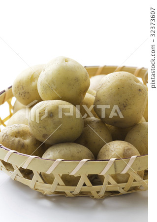 新瑜伽小土豆5 新瑜伽小土豆5 32373607